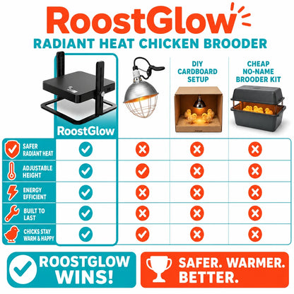 pp-roostglow-p4_v1