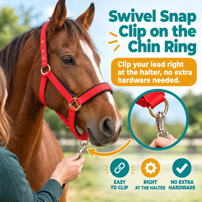 pp-softreign-horse-halter-p8_b2