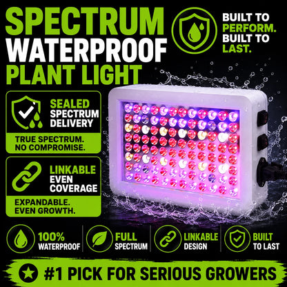 pp-spectrabloom-p5