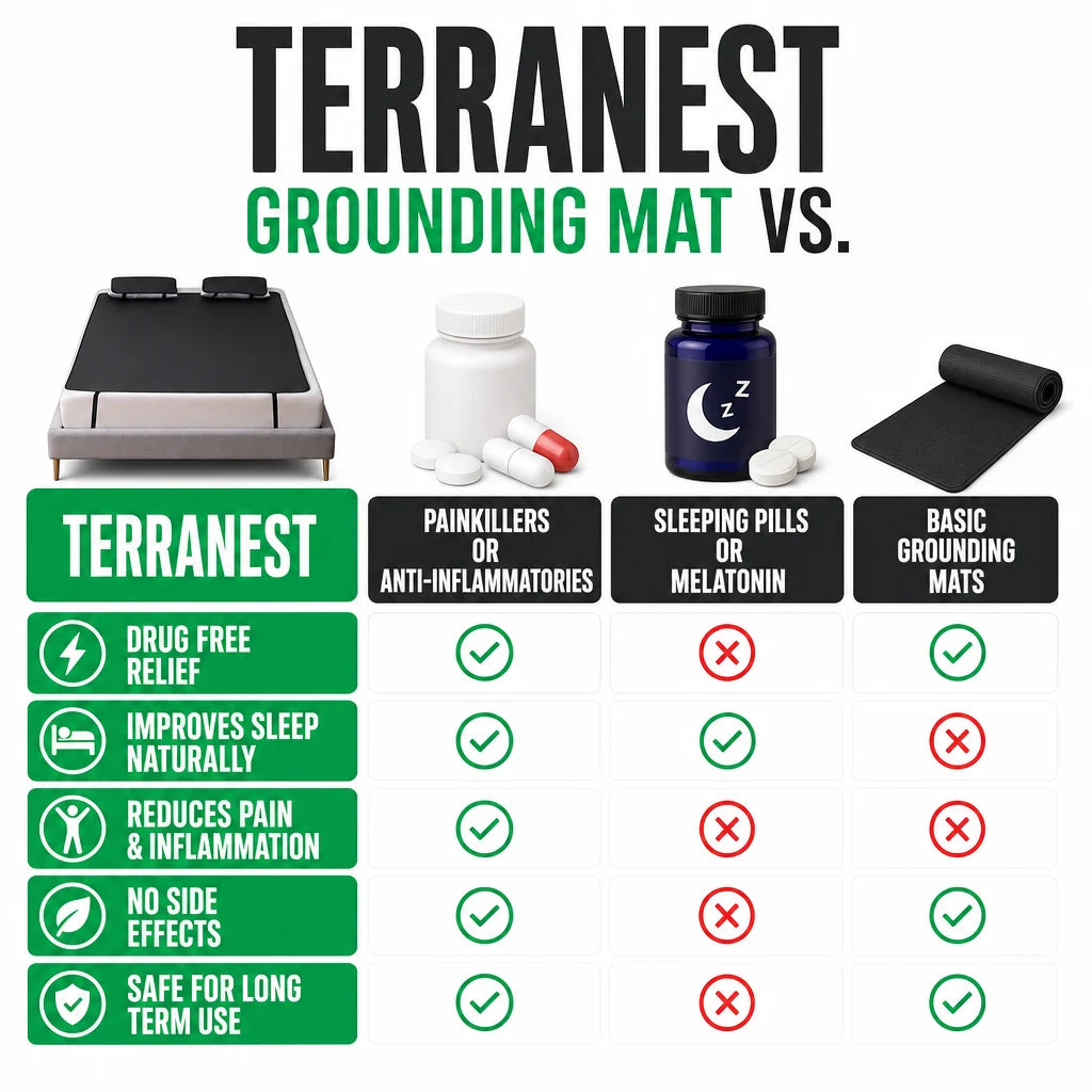 pp-terranest-p4_v1