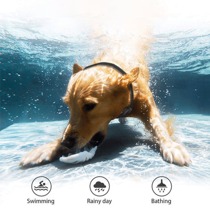 CanineVolt