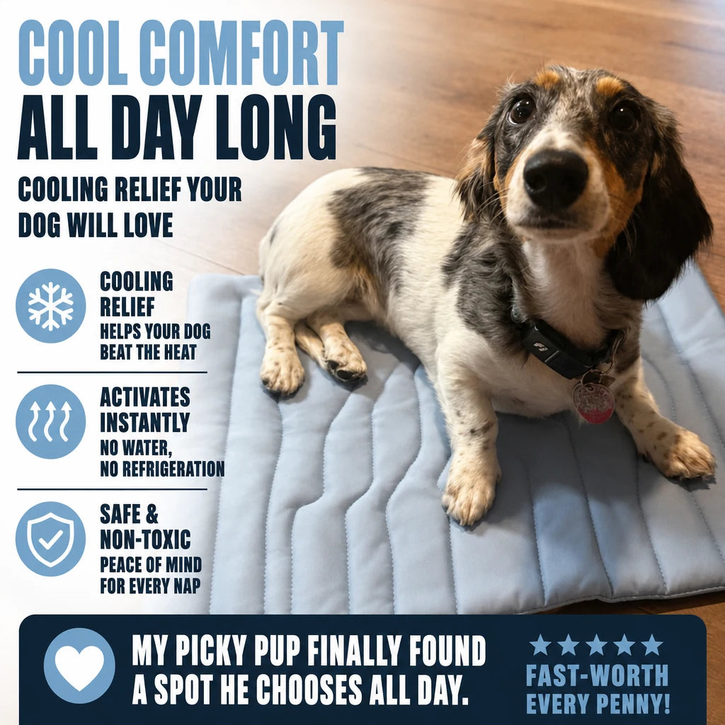 regen-chillden-cooling-mat-kobolaf-img-09_fbf3d074-f639-451c-a860-d76818c74fd7-regen