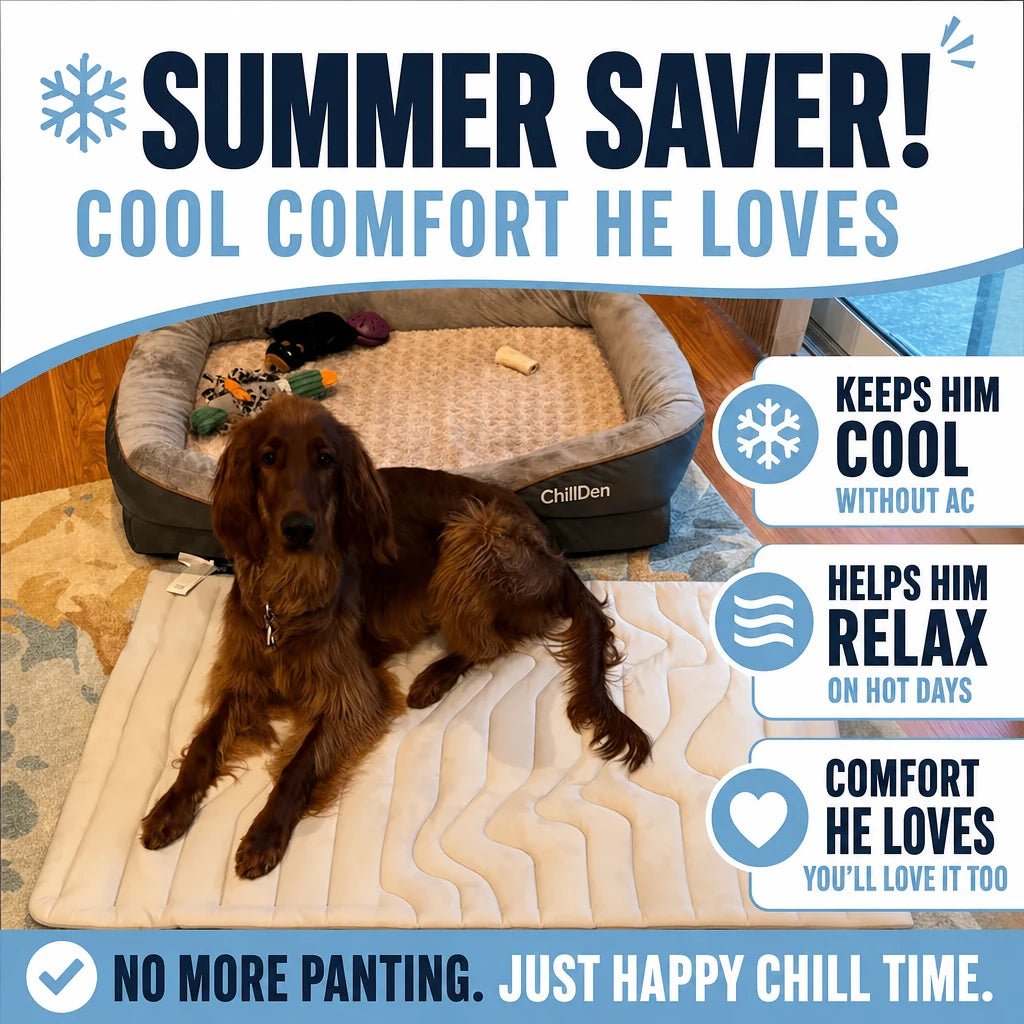 regen-chillden-cooling-mat-kobolaf-img-11_31a040bb-fb79-4969-b511-0f14d683d052-regen