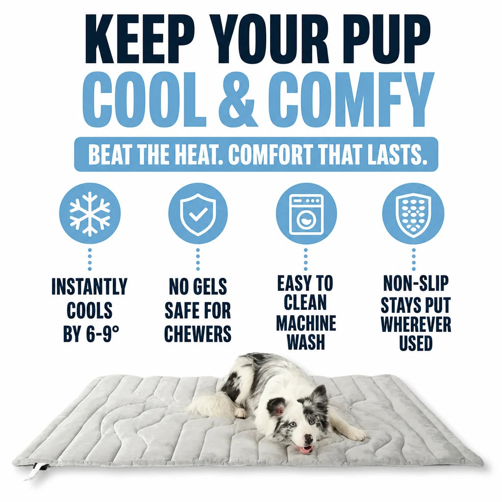 regen-chillden-cooling-mat-kobolaf-img-14_f9e0d19c-23cf-414b-8476-e9536bc27d9c-regen