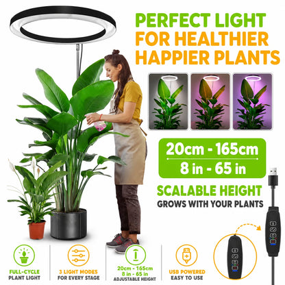 regen-flora-axis-plan-teraa-img-03_d9a95dd6-a589-4073-b6ab-b31948b870e4-regen
