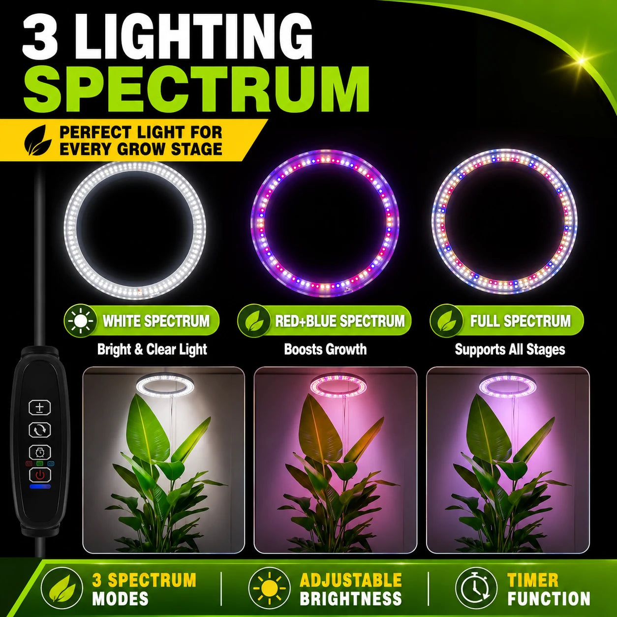 regen-flora-axis-plan-teraa-img-04_b96283a8-a1ee-407a-8ca7-4dea75e170ed-regen