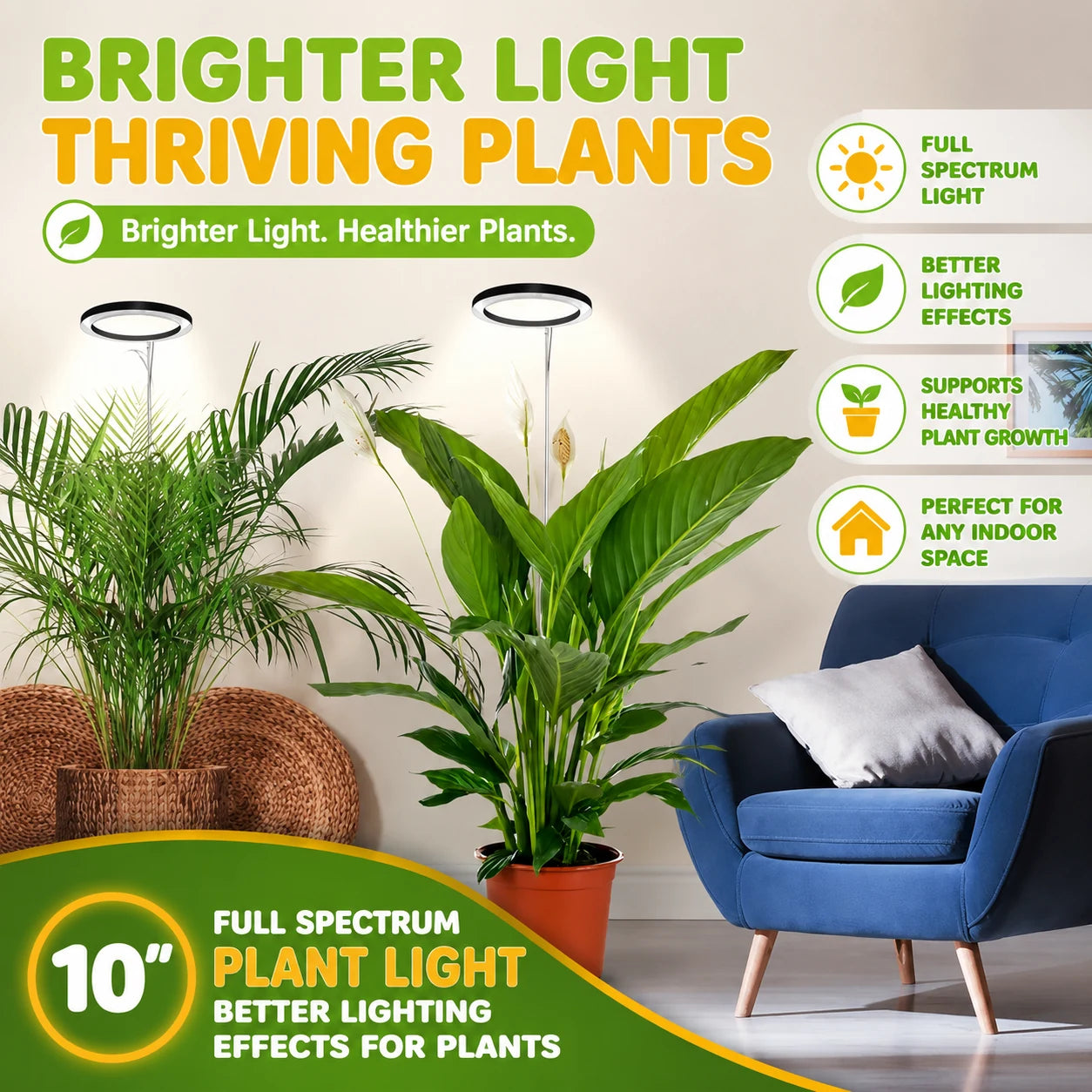 regen-flora-axis-plan-teraa-img-09_726bed02-1ee7-4c15-b4bf-951d659bfa1b-regen