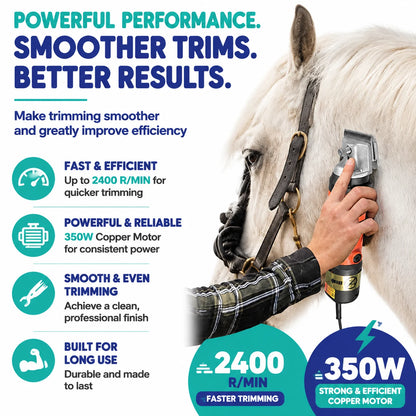 regen-manevolt-horsy-trim-img-03_6bb49866-0ea7-408a-b9eb-a6050db5ba98-regen