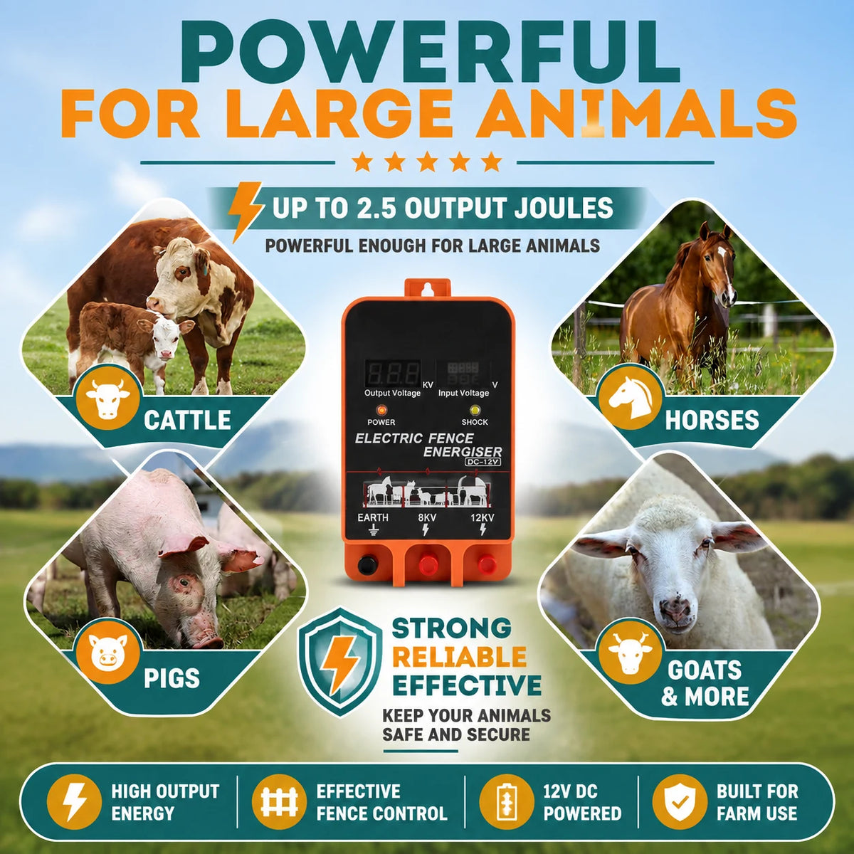 regen-ranchvolt-savey-farm-img-08_e5ba7dd6-9f4a-42dc-bf36-07686afe6268-regen