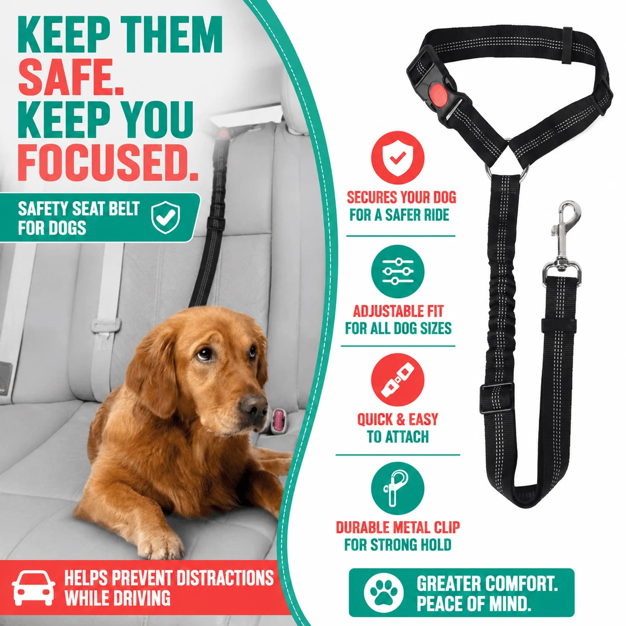 regen-ridetether-pawi-strap-img-03_9d0ab099-3995-436e-b25d-85cbf9bc63f0-regen