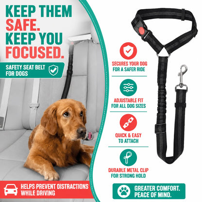 regen-ridetether-pawi-strap-img-03_9d0ab099-3995-436e-b25d-85cbf9bc63f0-regen
