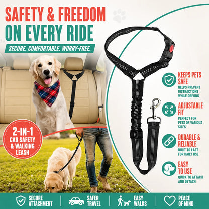 regen-ridetether-pawi-strap-img-04_4dac4899-7148-4f07-897d-12531d1e8f14-regen