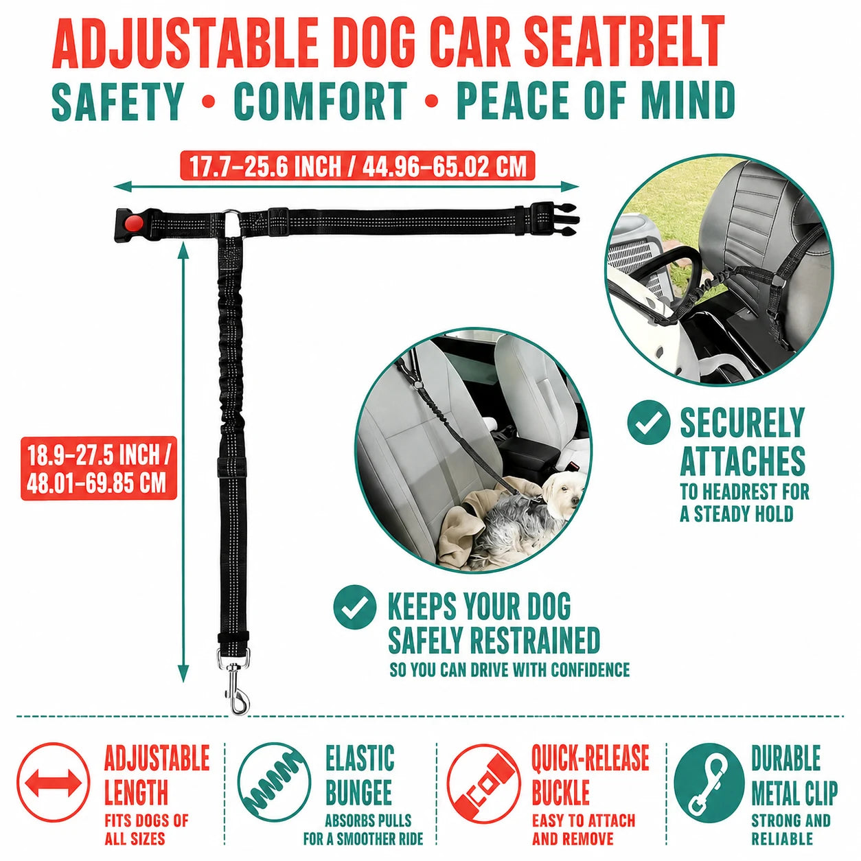 regen-ridetether-pawi-strap-img-09_8cd7c30f-9856-4426-8b87-d999b2b6b82f-regen
