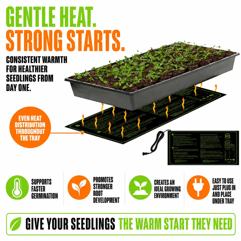 regen-sproutglow-heato-seed-img-04-regen