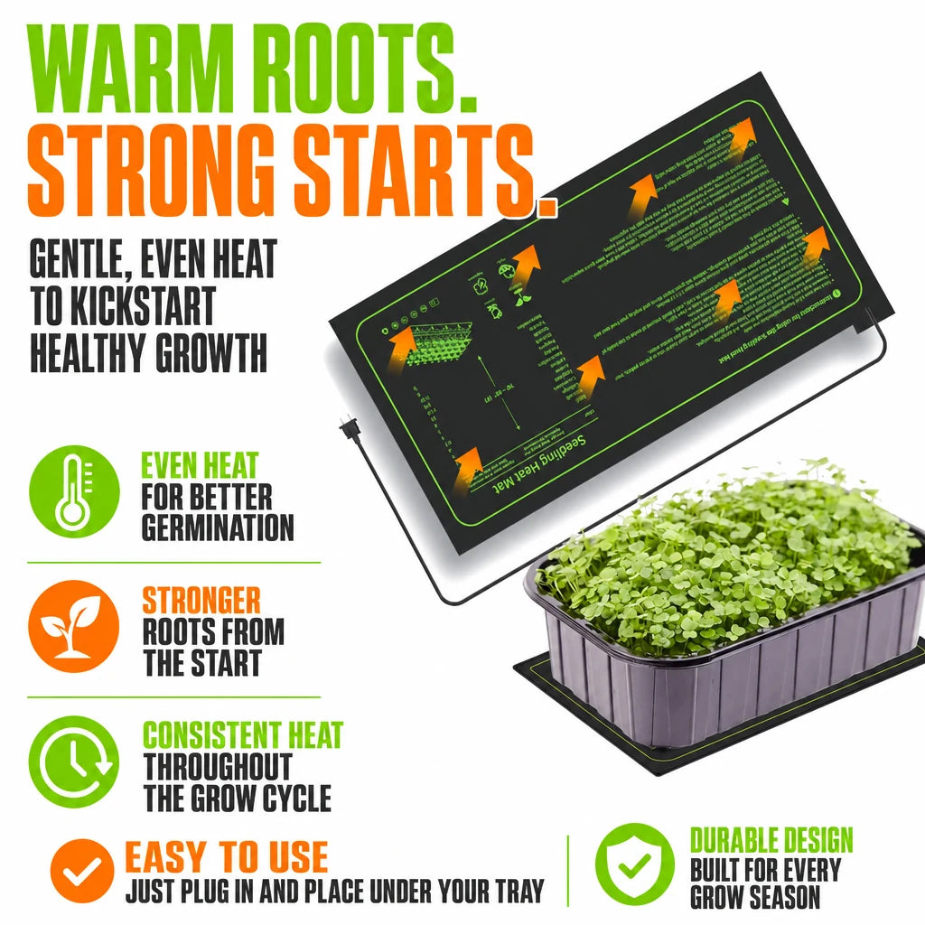 regen-sproutglow-heato-seed-img-11-regen