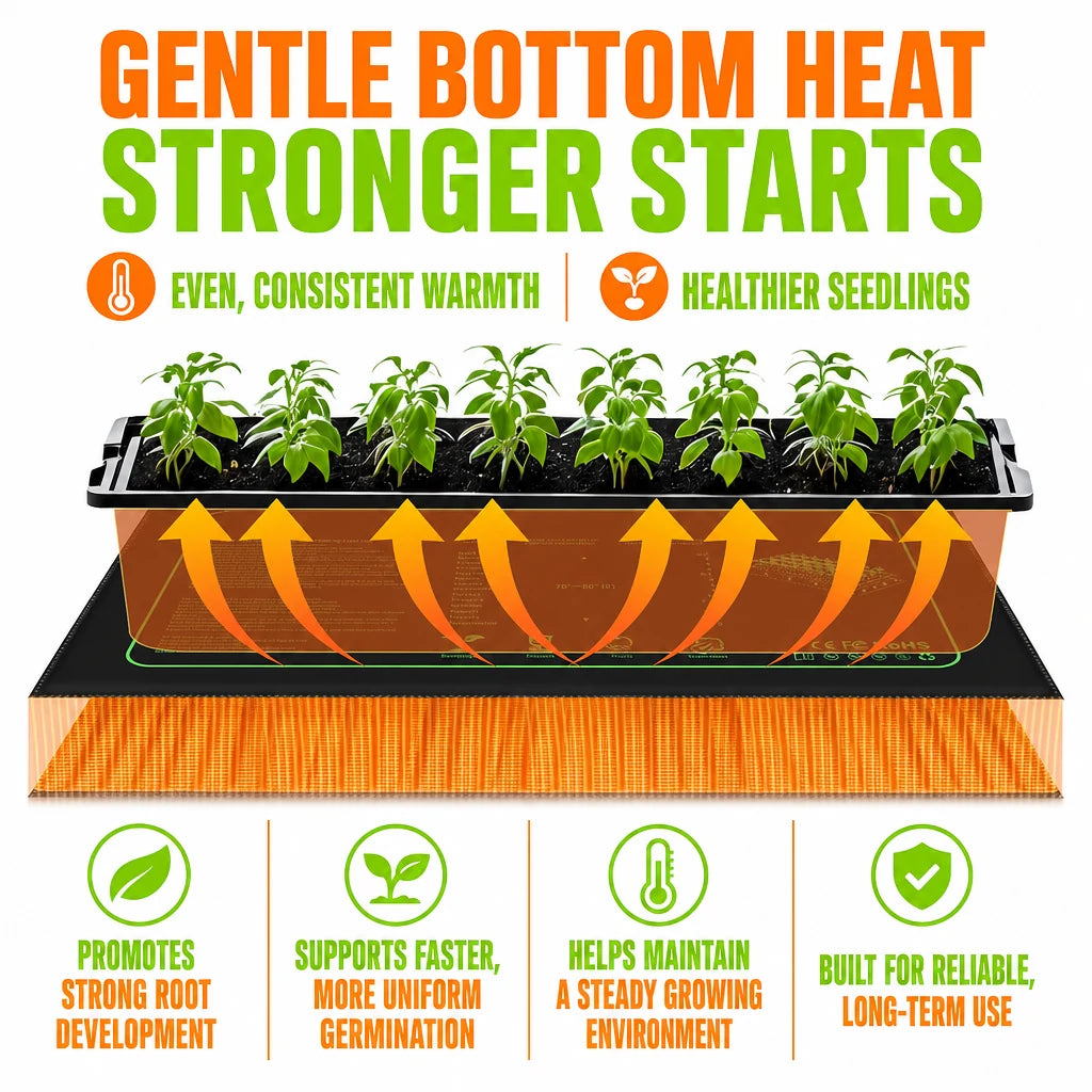 regen-sproutglow-heato-seed-img-20-regen