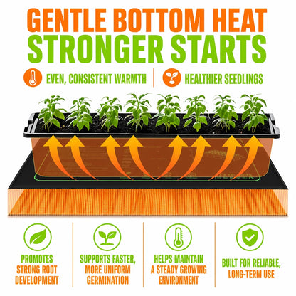 regen-sproutglow-heato-seed-img-20-regen