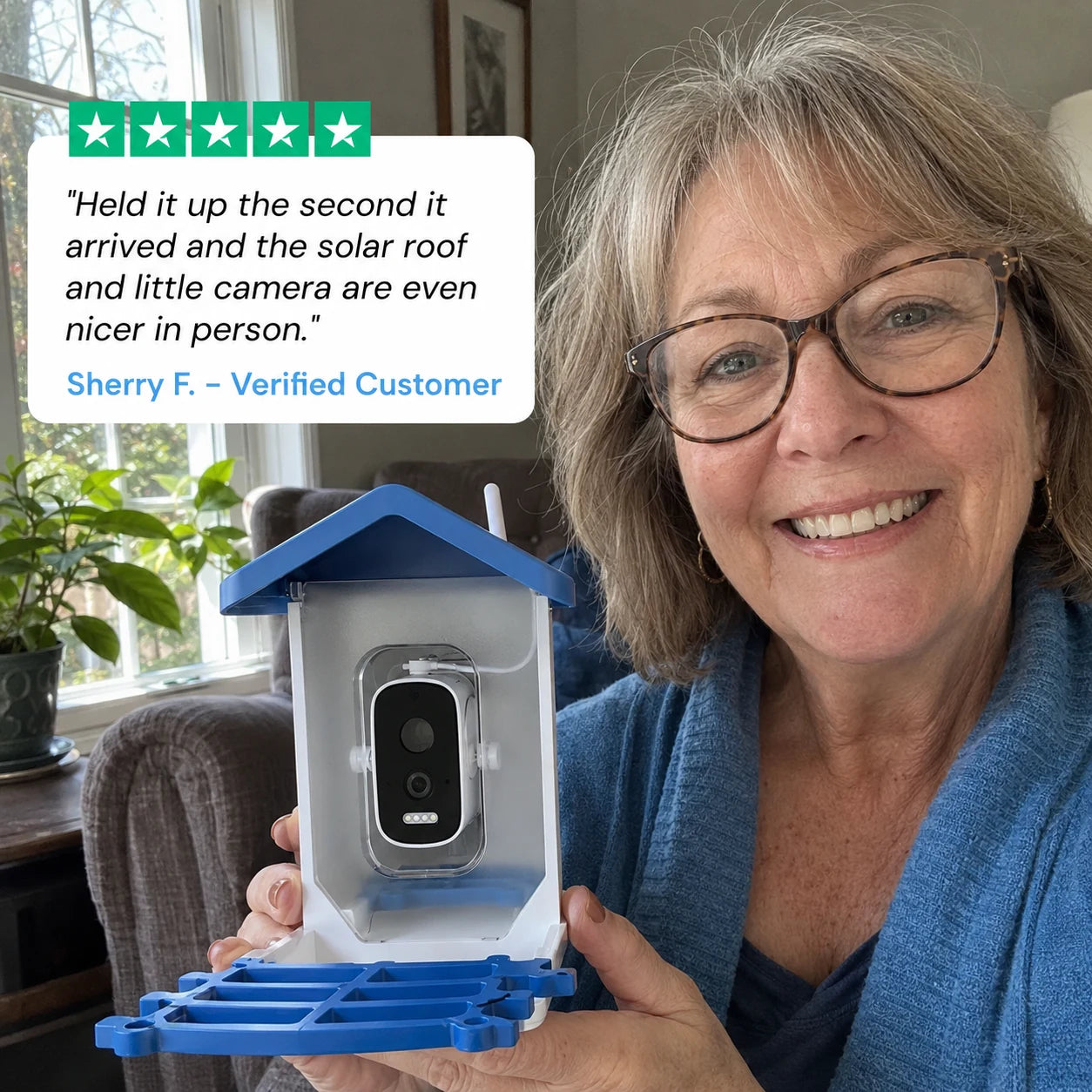 review-aviariq-1