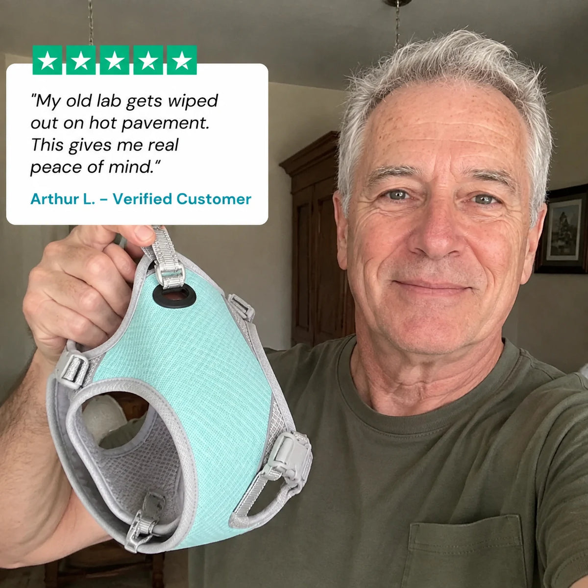 review-coolpelt-3_v2