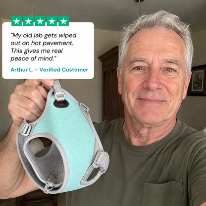 review-coolpelt-3_v2