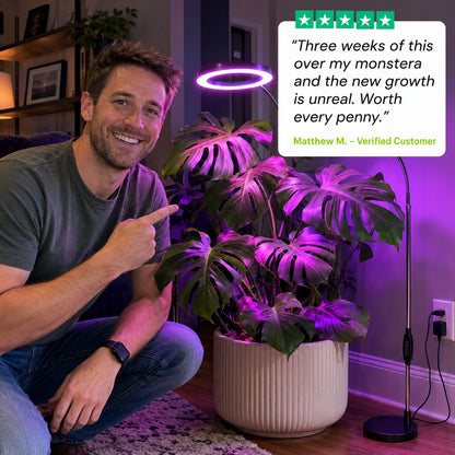 review-flora-axis-4_v3