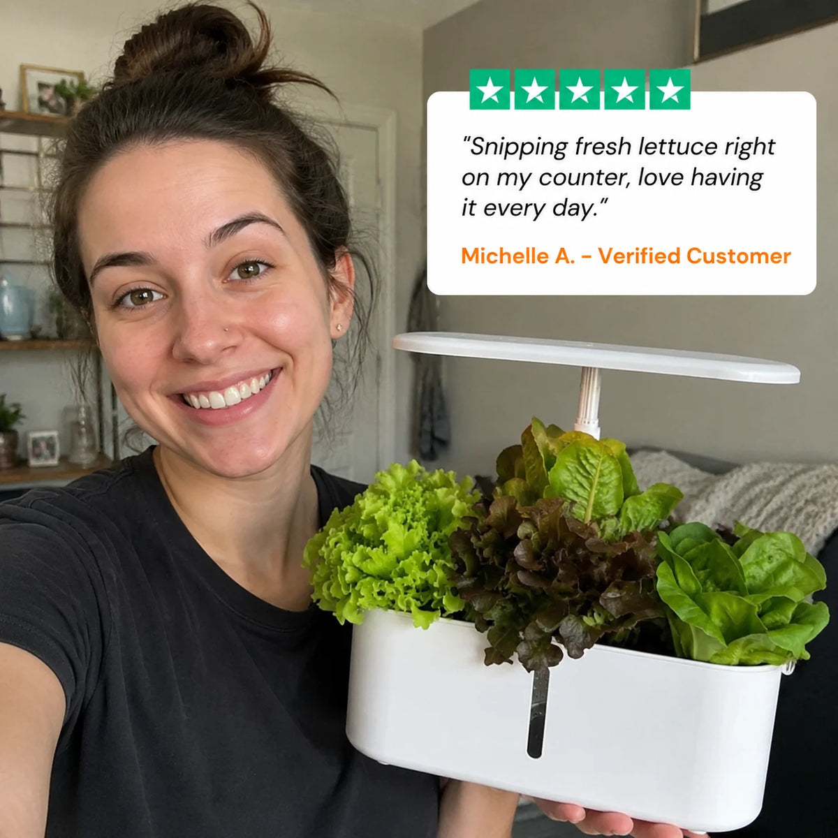 review-harvestra-2_v2