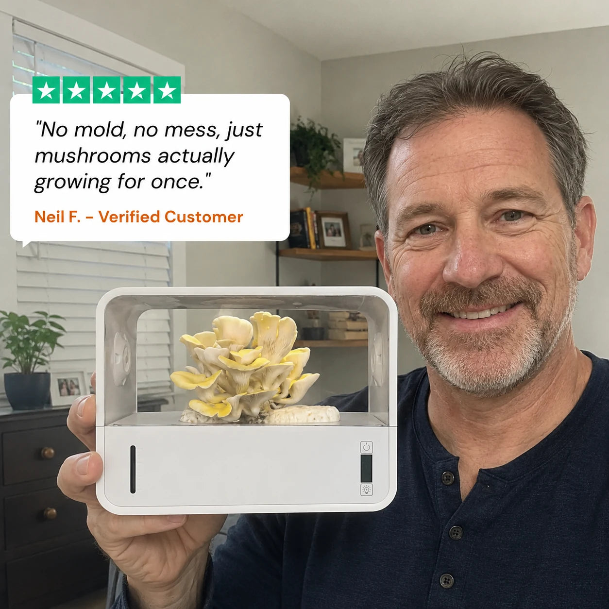 review-myco-dome-1