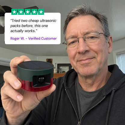 review-nightfend-3_v2