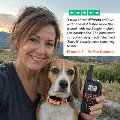 review-pawcommand-2
