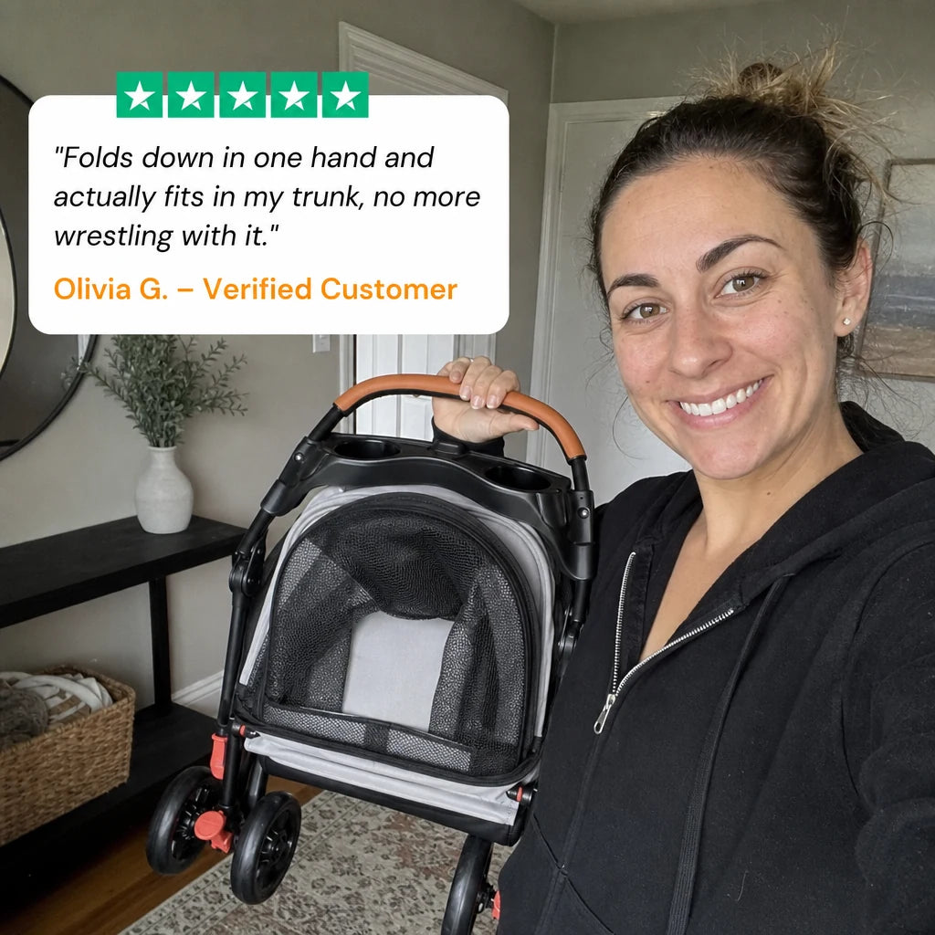 review-pawvoyage-stroller-3