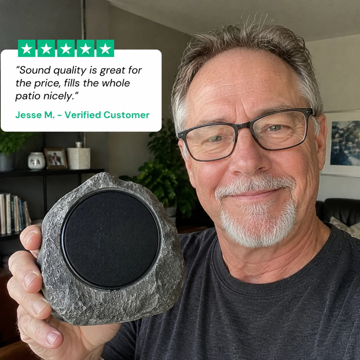 review-petrasonic-3_v2