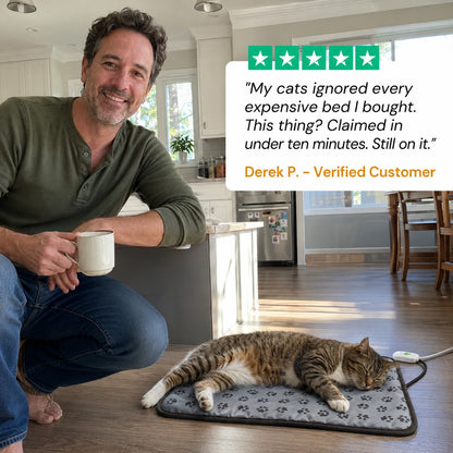 review-purrcove-1