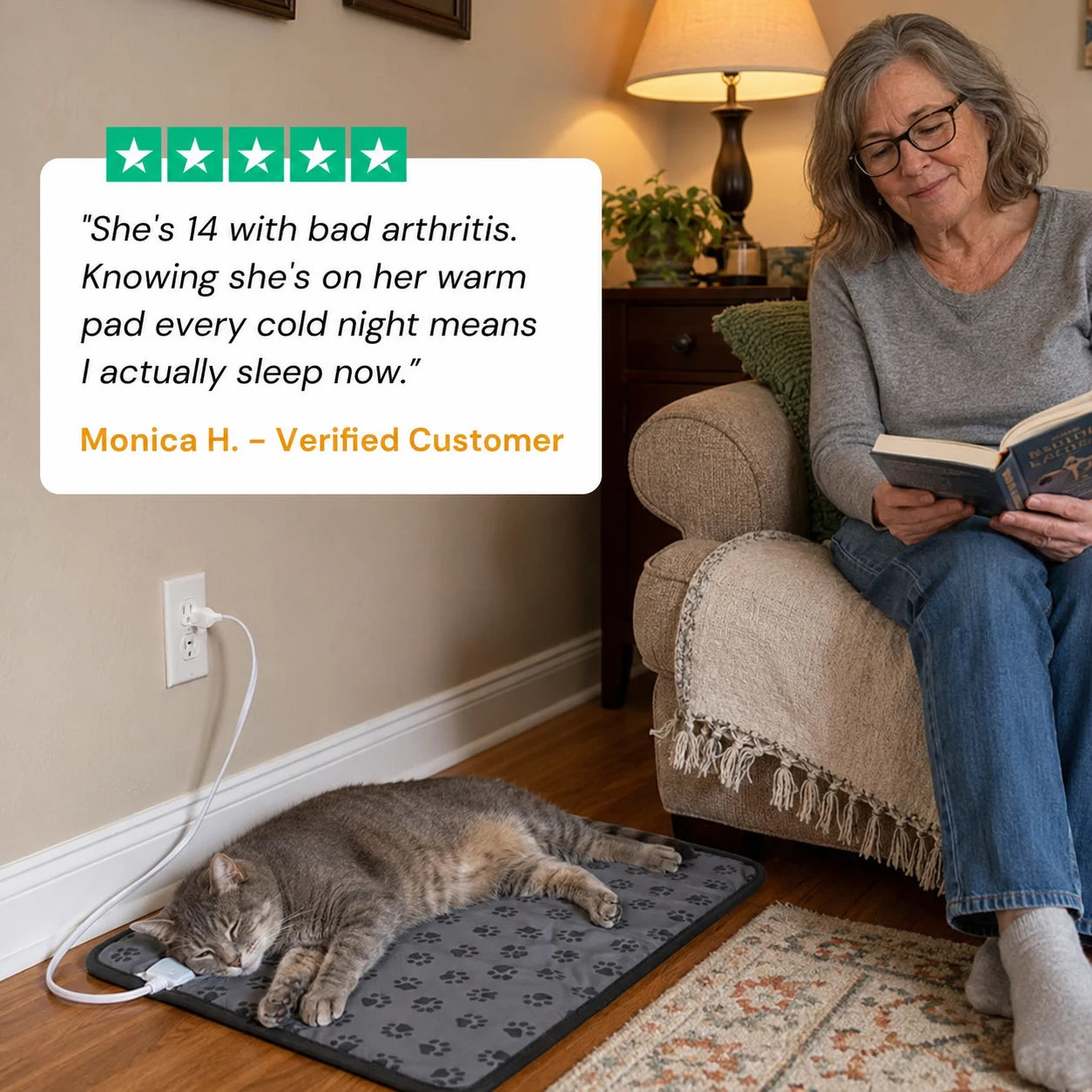 review-purrcove-2