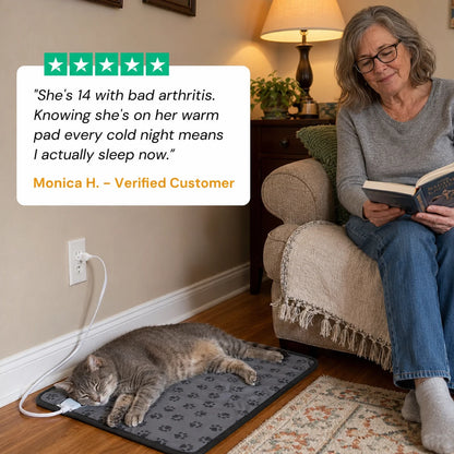 review-purrcove-2