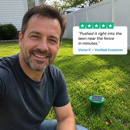review-quakeguard-4_v2