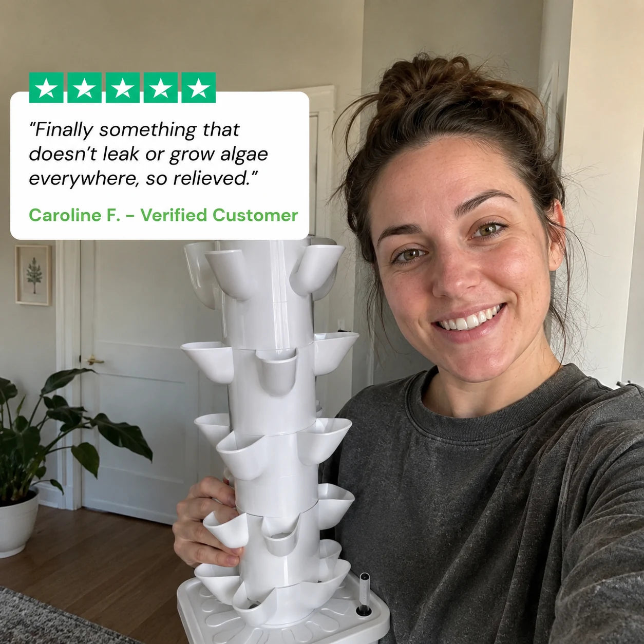 review-sproutspire-1