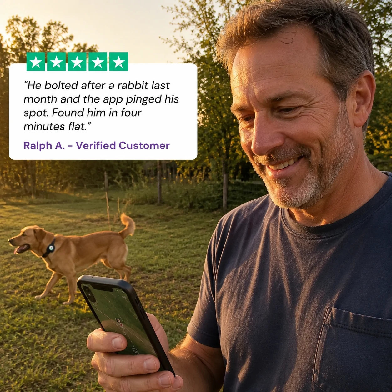 review-vaultpaw-2