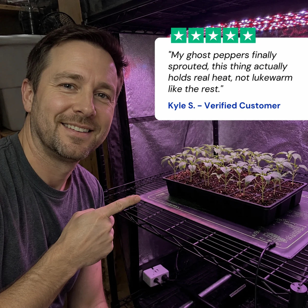 review-verdantrise-4_v2