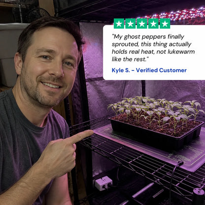 review-verdantrise-4_v2