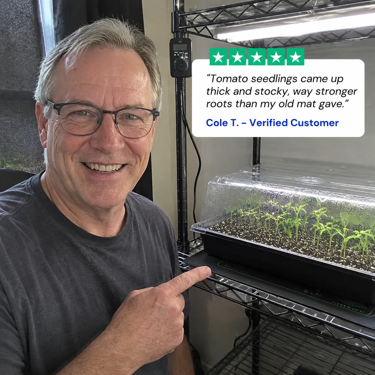review-verdantrise-6_v2