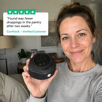 review-verminhalt-3_v2