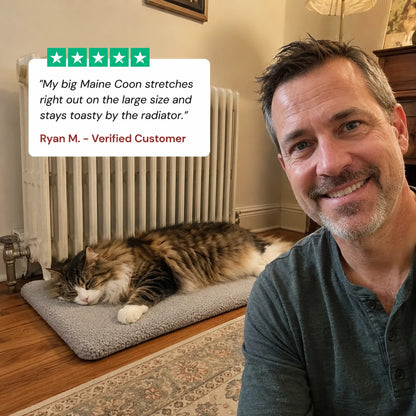 review-wyldnook-1