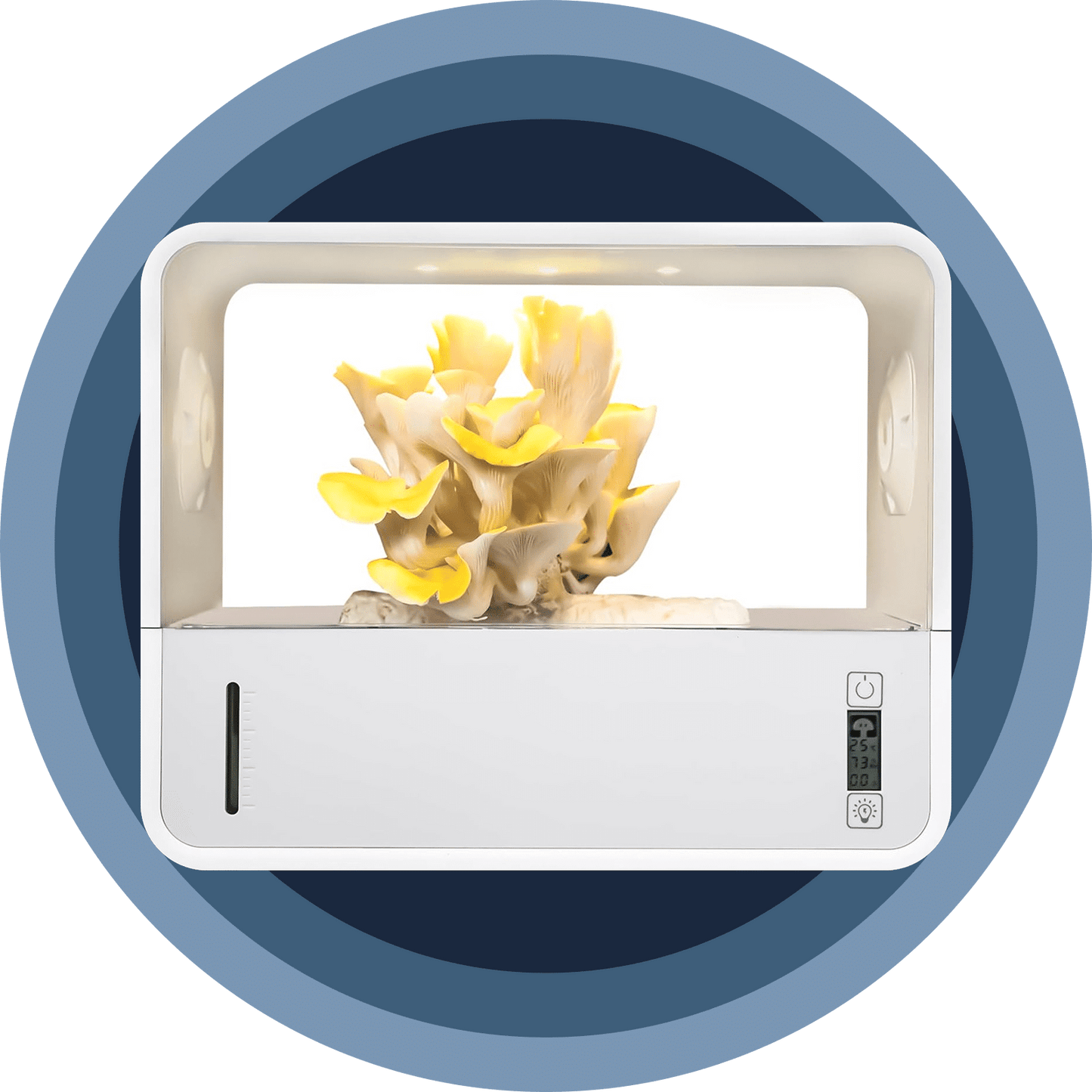 MycoDome