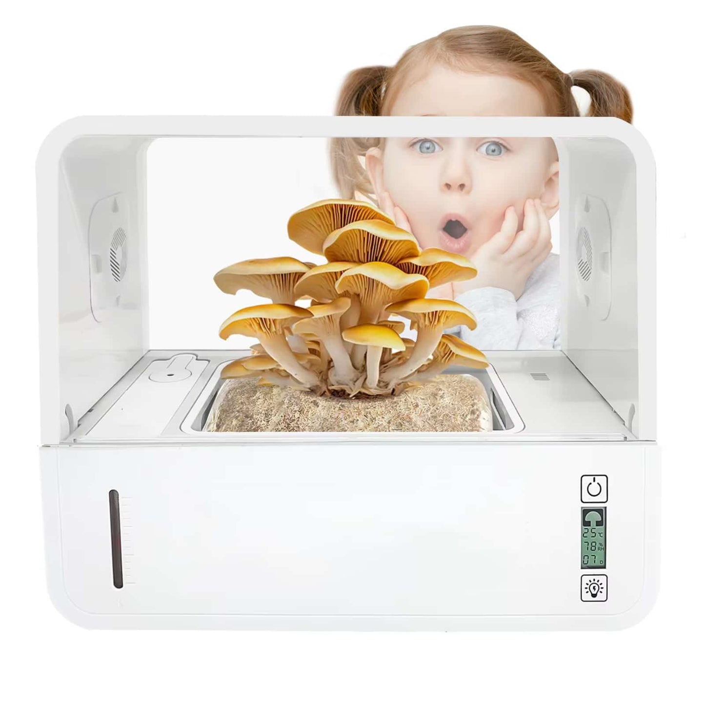 MycoDome