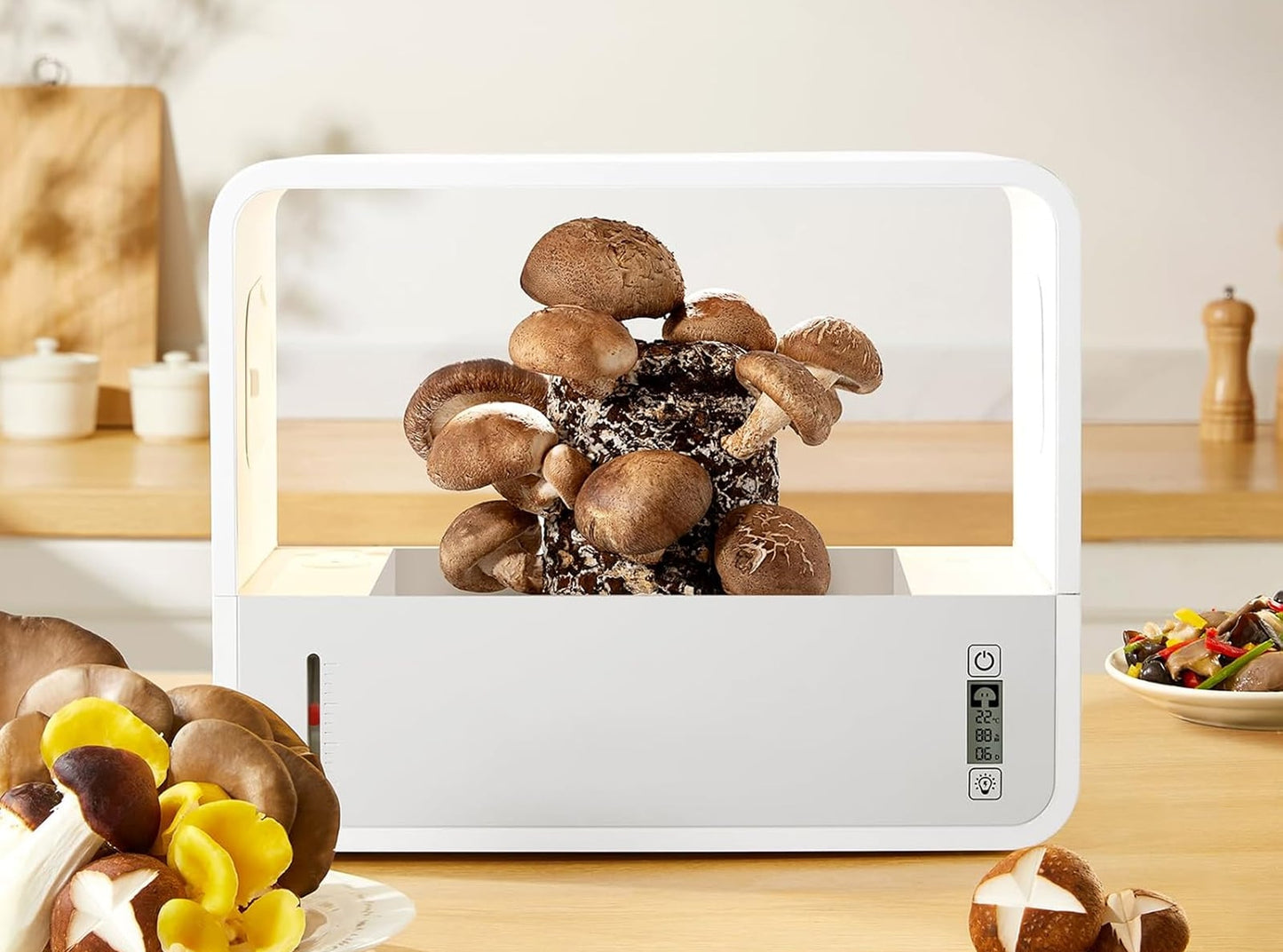 MycoDome