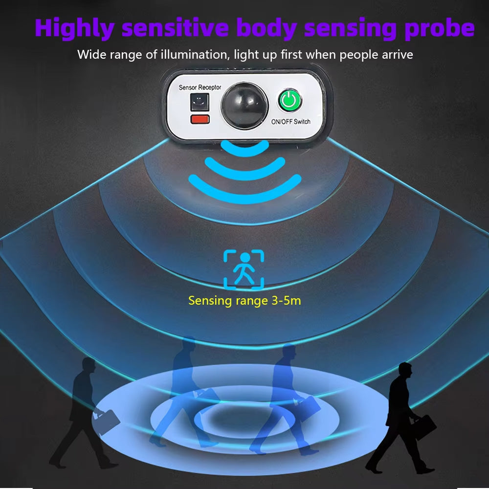 SentryBeam