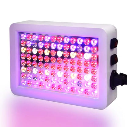 SpectraBloom