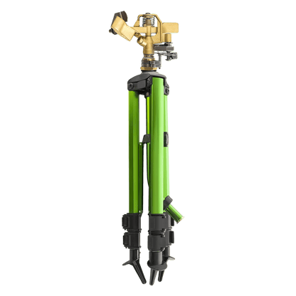 Drizzora