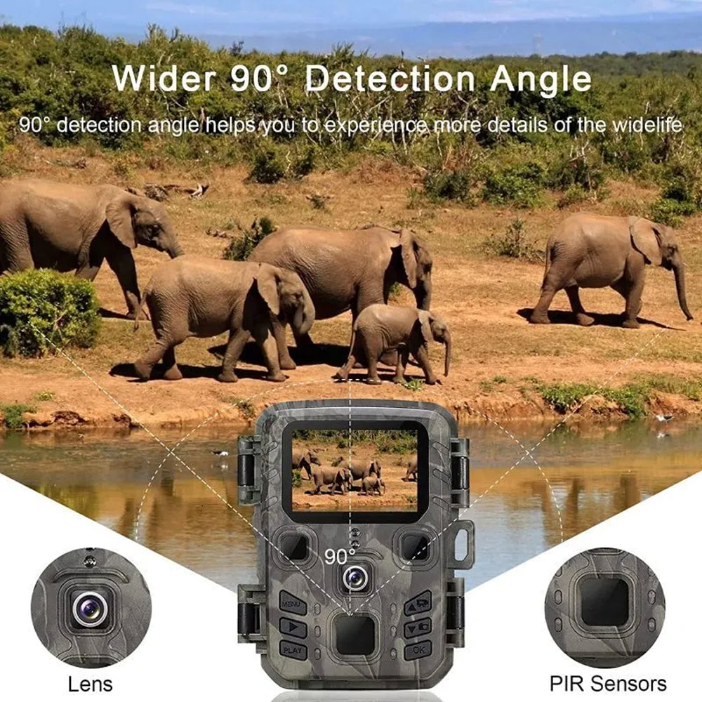 LynxView