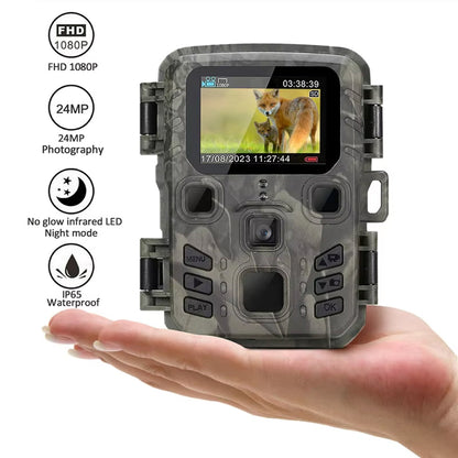 LynxView